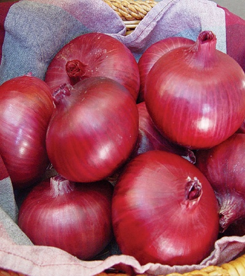 வெங்காயம் / Onion